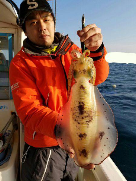 ソルトウォーターガイドフレンズ 釣果