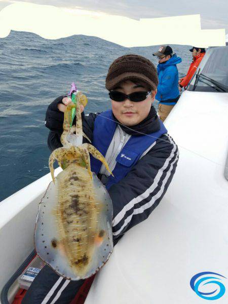 ソルトウォーターガイドフレンズ 釣果