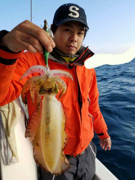 ソルトウォーターガイドフレンズ 釣果