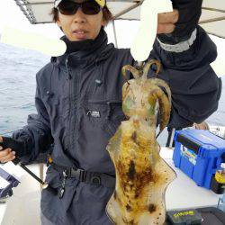 ソルトウォーターガイドフレンズ 釣果