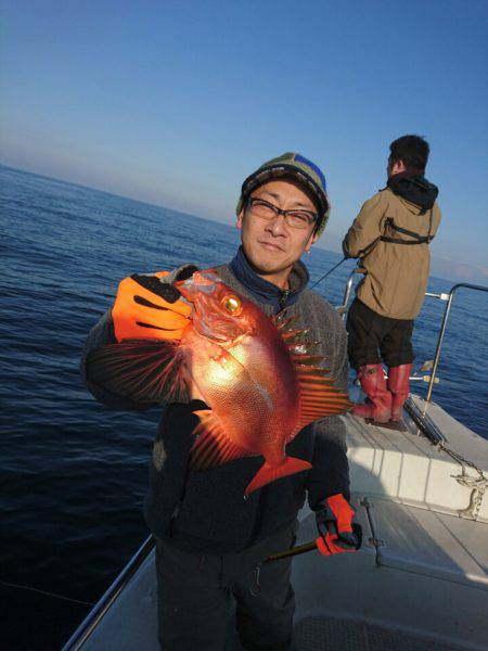 ARCADIAⅡ (アルカディアⅡ) 釣果