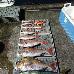 ARCADIAⅡ (アルカディアⅡ) 釣果