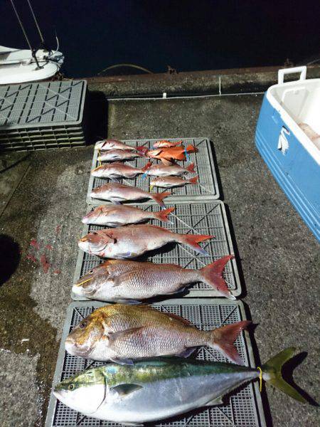 ARCADIAⅡ (アルカディアⅡ) 釣果