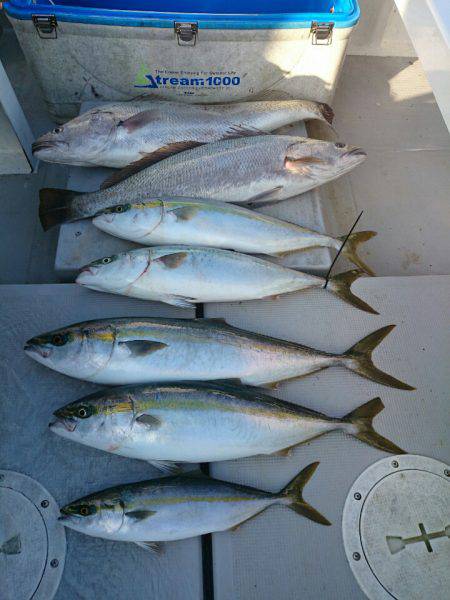 エンペラー 釣果