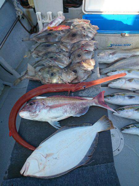 エンペラー 釣果