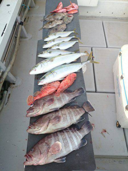 エンペラー 釣果