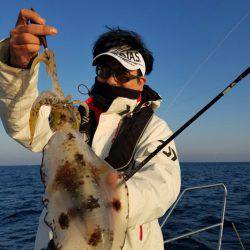 ソルトウォーターガイドフレンズ 釣果