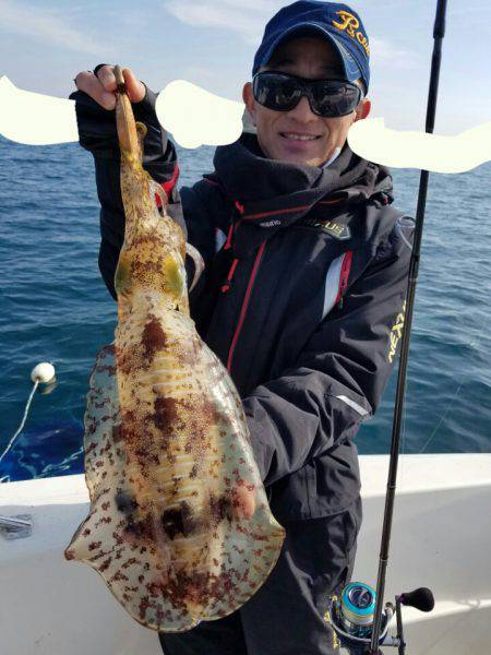 ソルトウォーターガイドフレンズ 釣果