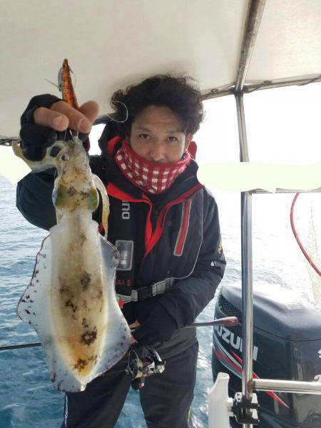 ソルトウォーターガイドフレンズ 釣果