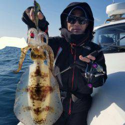 ソルトウォーターガイドフレンズ 釣果