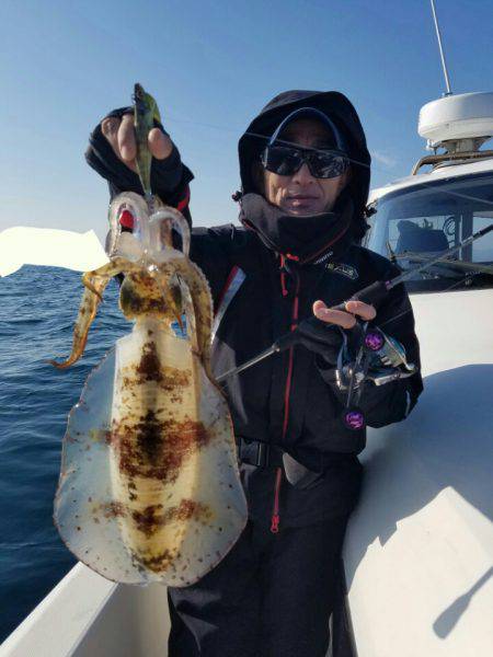 ソルトウォーターガイドフレンズ 釣果