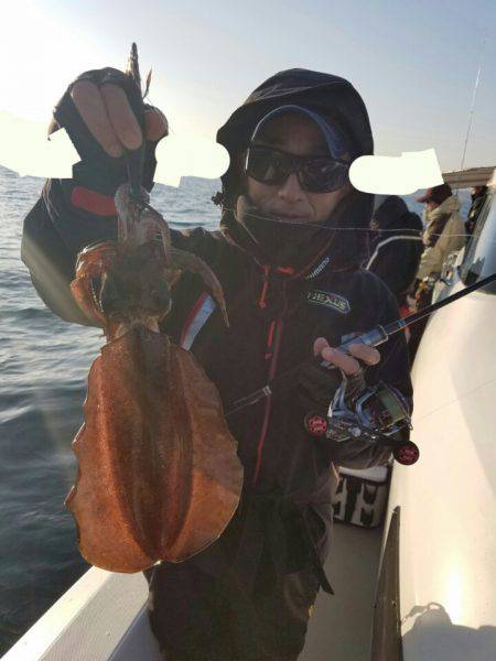 ソルトウォーターガイドフレンズ 釣果