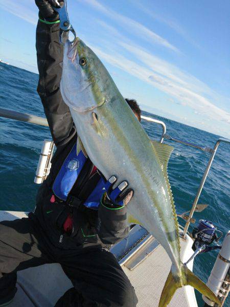 ARCADIAⅡ （アルカディアⅡ） 釣果…