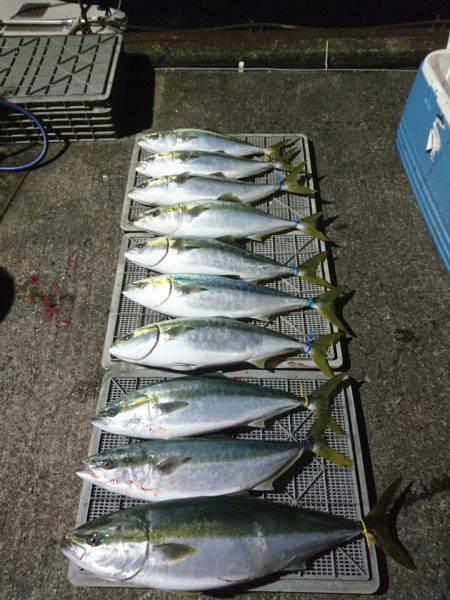 ARCADIAⅡ (アルカディアⅡ) 釣果