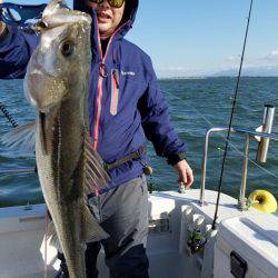 海龍丸(島根) 釣果