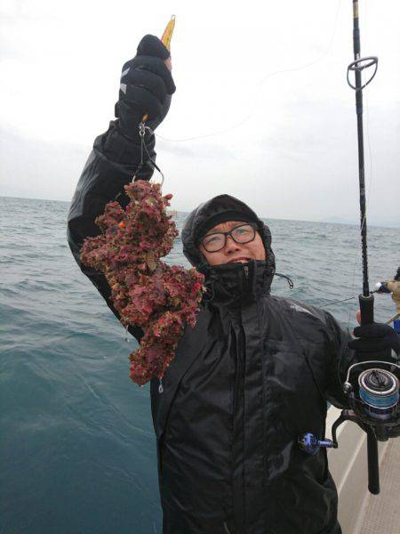 ARCADIAⅡ (アルカディアⅡ) 釣果