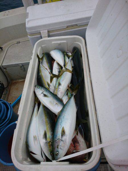 ARCADIAⅡ (アルカディアⅡ) 釣果