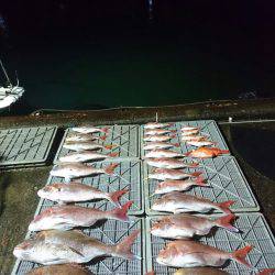 ARCADIAⅡ (アルカディアⅡ) 釣果