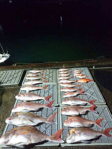 ARCADIAⅡ (アルカディアⅡ) 釣果