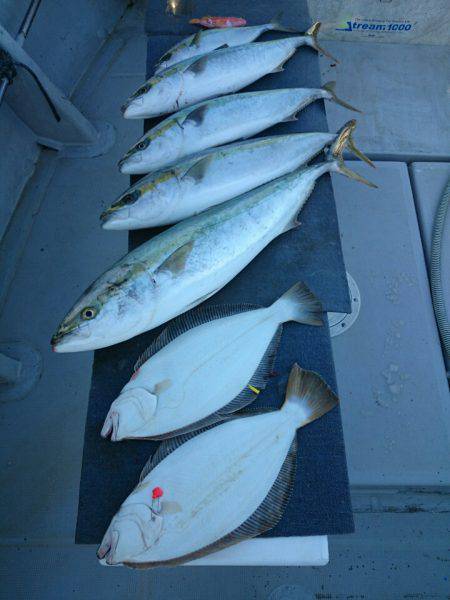 エンペラー 釣果