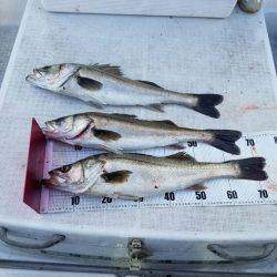 海龍丸(島根) 釣果