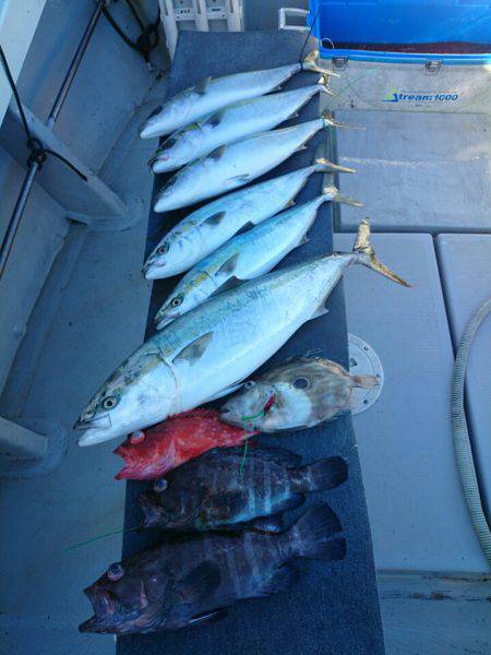 エンペラー 釣果