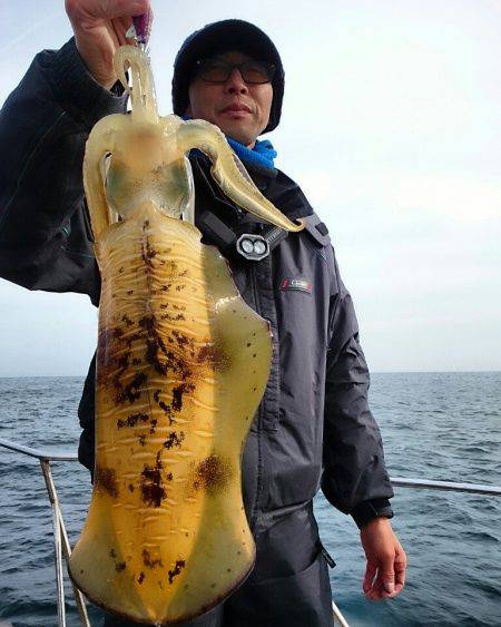 ブルースフィッシングサービス 釣果