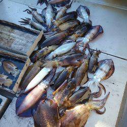 ブルースフィッシングサービス 釣果