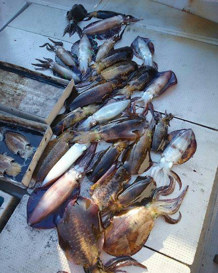 ブルースフィッシングサービス 釣果