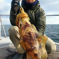 ブルースフィッシングサービス 釣果