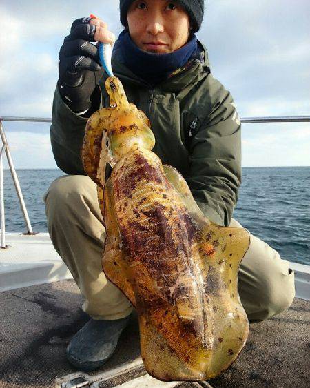 ブルースフィッシングサービス 釣果