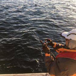 第八 源洋丸 釣果