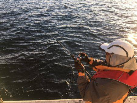 第八 源洋丸 釣果