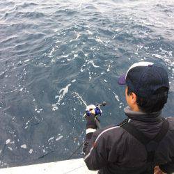 第八 源洋丸 釣果