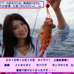 Big One ビッグワン 釣果