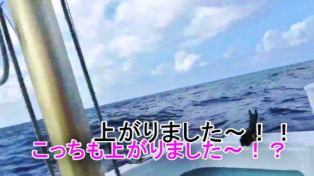 ＫＹＯＥＩⅢ 釣果