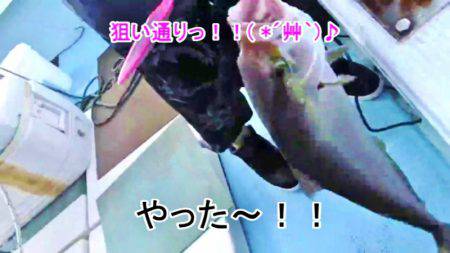 ＫＹＯＥＩⅢ 釣果