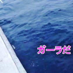 ＫＹＯＥＩⅢ 釣果