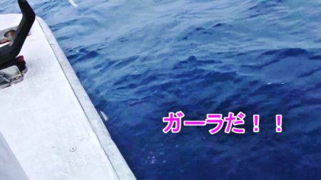 ＫＹＯＥＩⅢ 釣果