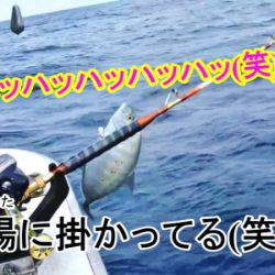 ＫＹＯＥＩⅢ 釣果