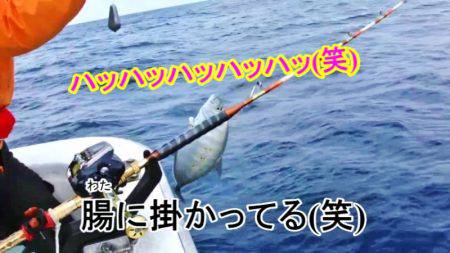 ＫＹＯＥＩⅢ 釣果