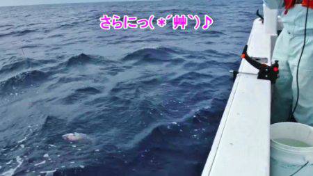 ＫＹＯＥＩⅢ 釣果