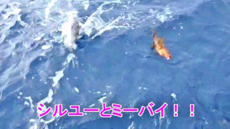 ＫＹＯＥＩⅢ 釣果