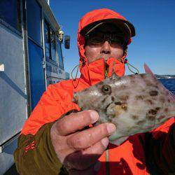 島きち丸 釣果