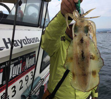 Fishing boat NATTYI 釣果