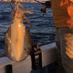 Fishing boat NATTYI 釣果