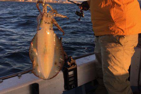 Fishing boat NATTYI 釣果