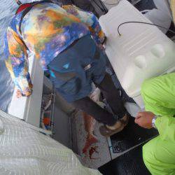 第二龍勢丸 釣果