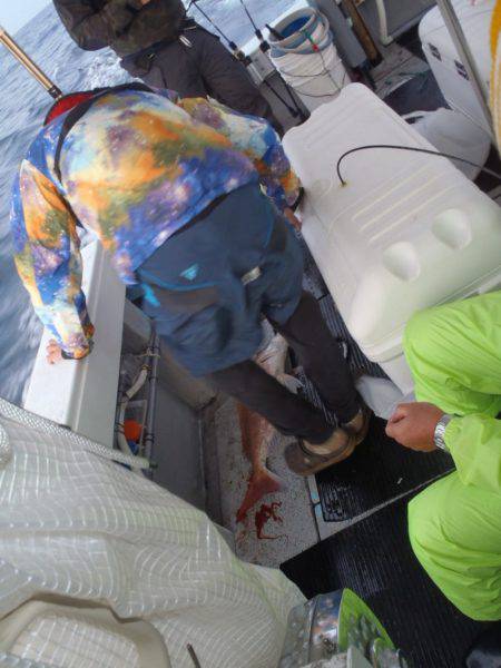 第二龍勢丸 釣果