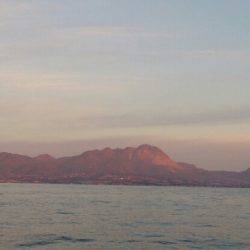 遊漁船 家入 釣果